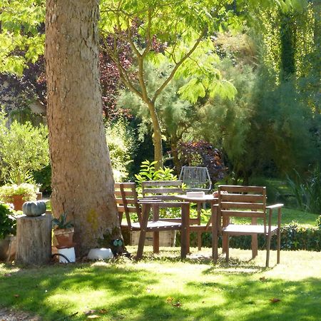Domaine De Joreau Gennes-Val-de-Loire Экстерьер фото