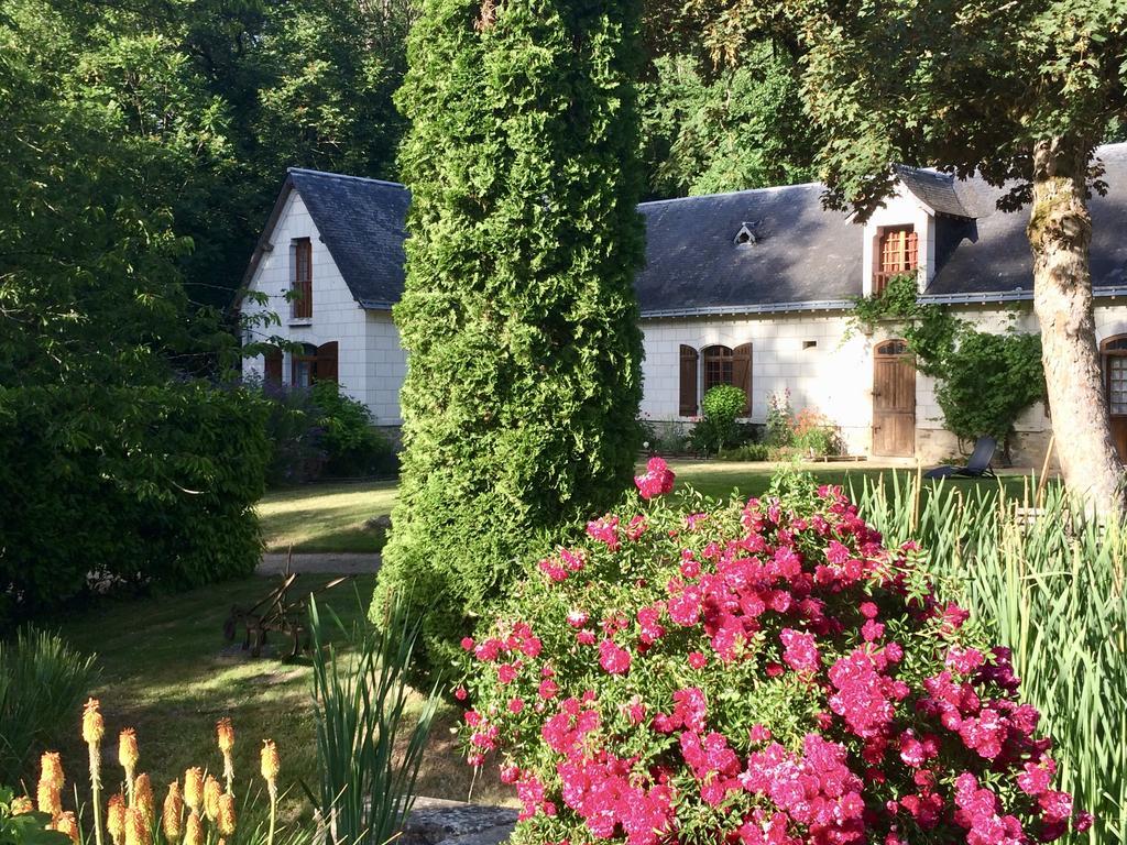 Domaine De Joreau Gennes-Val-de-Loire Экстерьер фото
